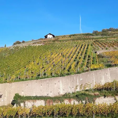 Gaestehaus Zum Schlossberg 3* Vogtsburg